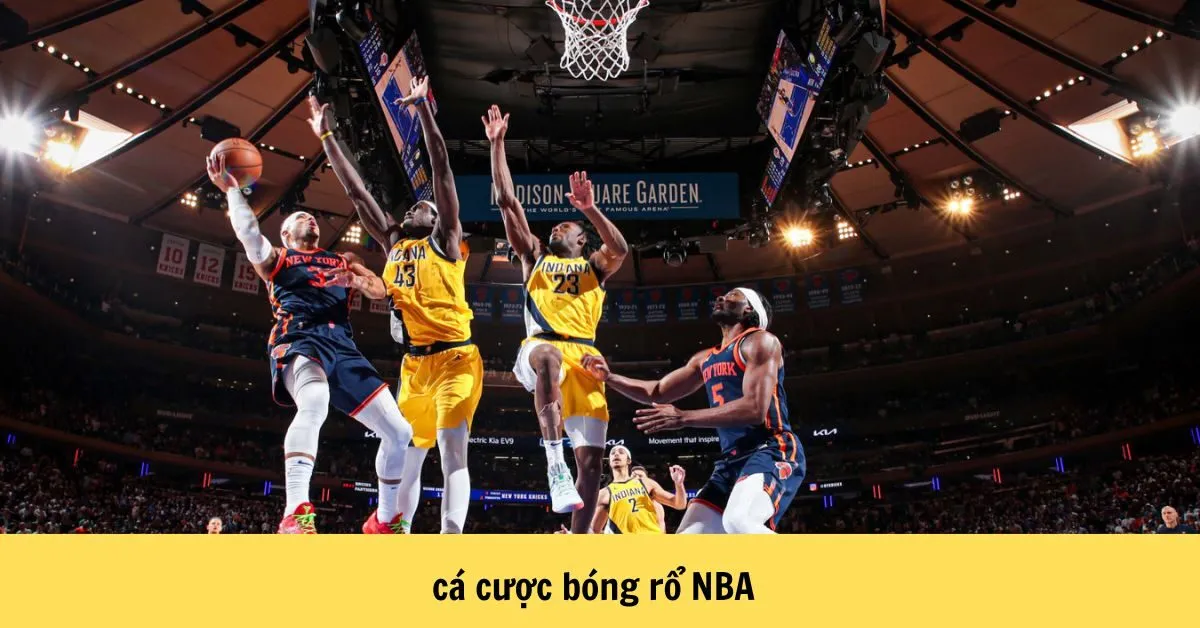 cá cược bóng rổ NBA